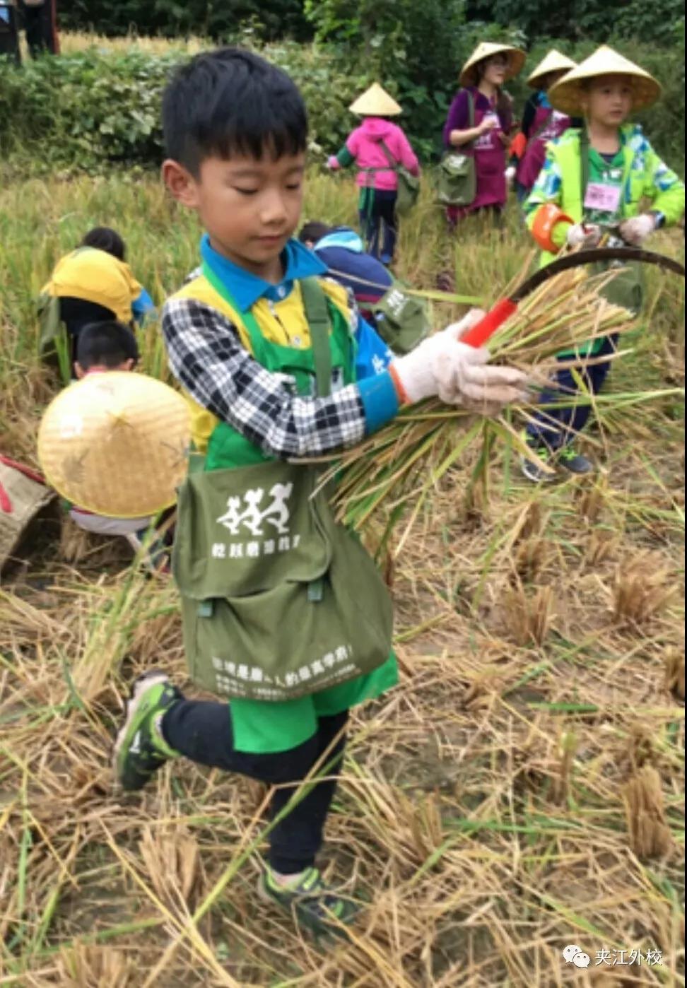微信图片_20200920163844.jpg