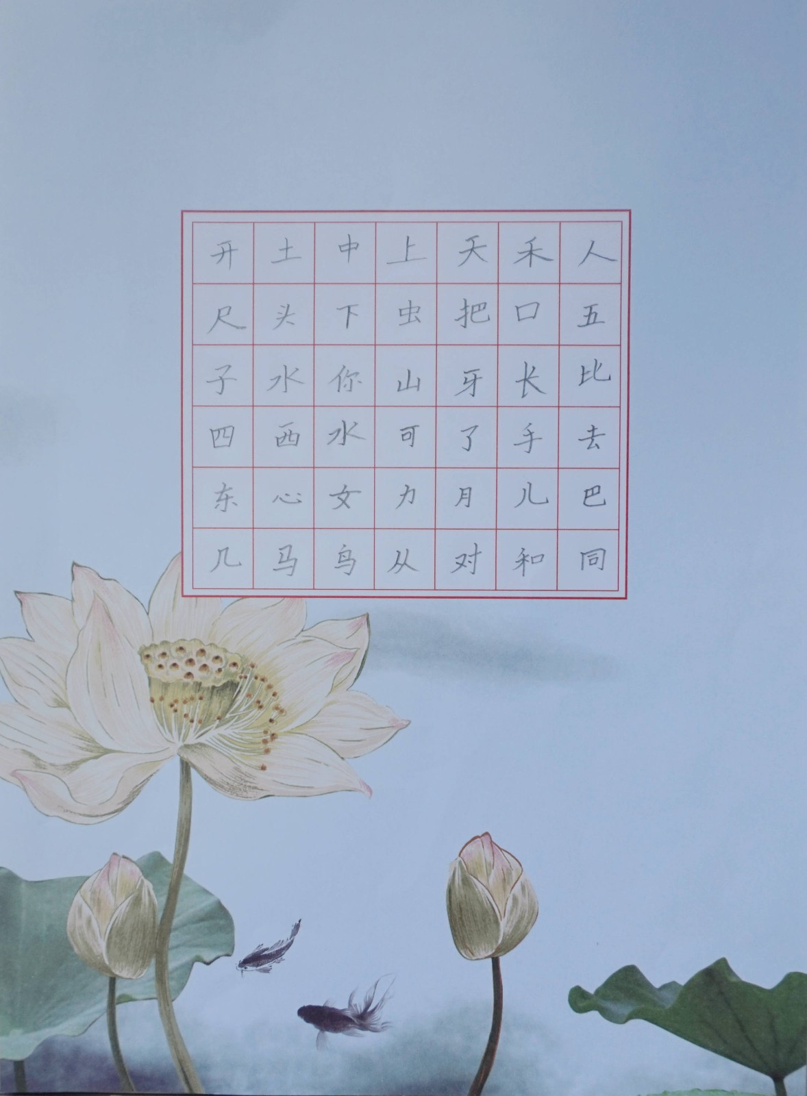 二等奖~1.7班 张扬萱萱.JPG