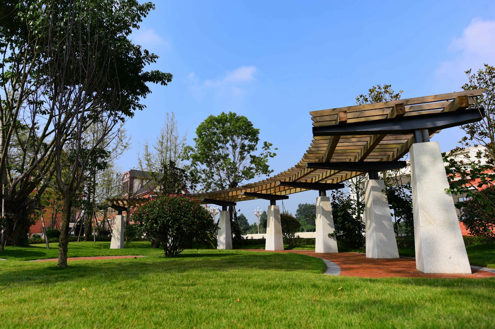 DSC_2496.JPG