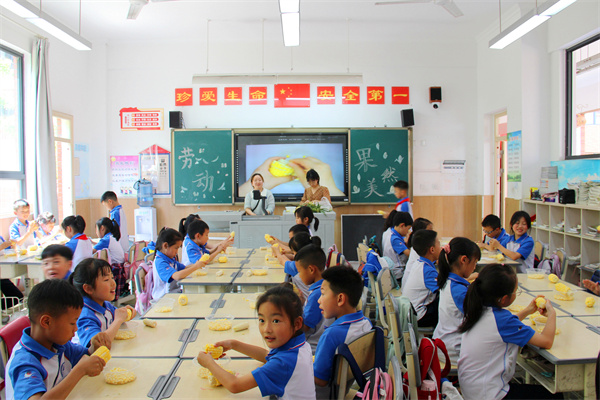 果实去壳 (9).JPG