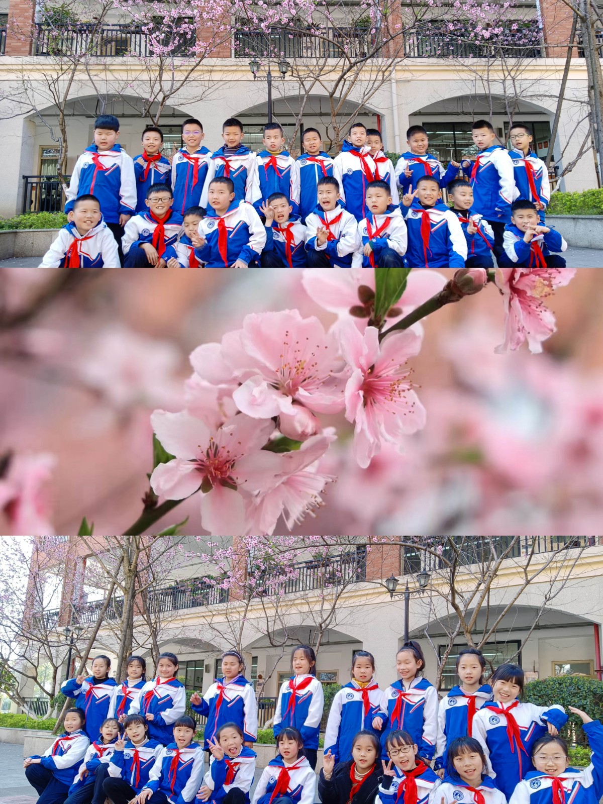 微信图片_20230313140714.jpg